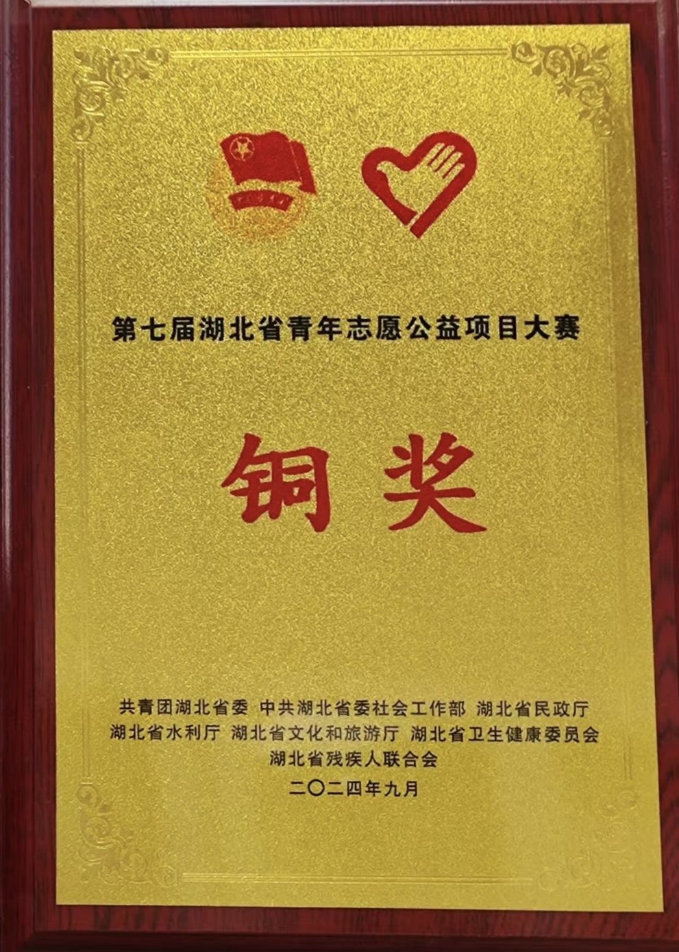 第七届湖北省青年志愿公益项目大赛铜奖